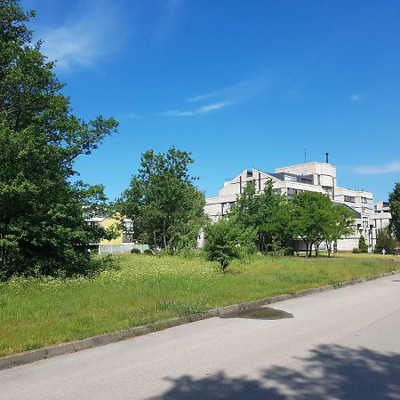 Cozy Seaside Studio Palanga Ngoại thất bức ảnh